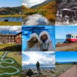 Upplev Norrbottens aktiviteter: vackra landskap, vilda djur, tåg, ishotell och vandring.