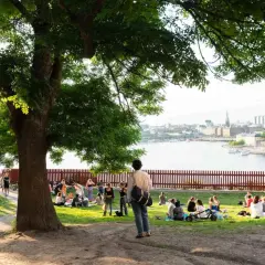 Människor njuter av en picknick i Stockholm, med stadsbilden och vattnet i bakgrunden.