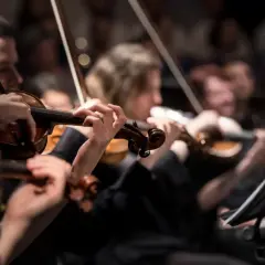 Musiker spelar fiol under en klassisk konsert i Stockholm.