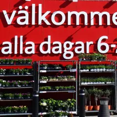 Välkommen till butiken! Här finns massor av blommor och växter. Perfekt för dig som vill jobba i butik och hjälpa kunder att hitta det finaste.