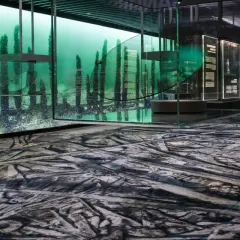 En dykare utforskar en undervattensvärld med gamla träpålar, en fascinerande scen i ett museum of wrecks. Golvet är dekorerat som en sjöbotten.