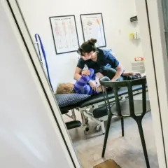 En naprapatutbildning ger kunskapen att hjälpa patienter. Här ses en naprapat som behandlar en patient på en brits.