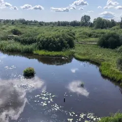 Vacker natur med sjö och promenadstig, perfekt för aktiviteter i Kristianstad.