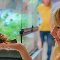Glad flicka håller en stor snäcka i handen på ett upplevelsemuseum i Stockholm.