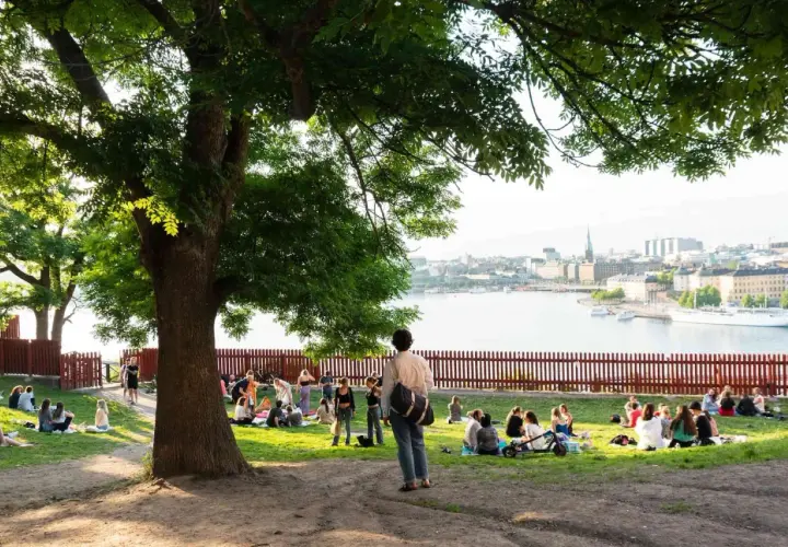 Människor njuter av en picknick i Stockholm, med stadsbilden och vattnet i bakgrunden.