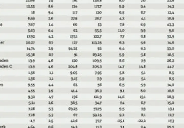 Tabell med bolagsnamn och siffror, där "p/e tal minus" kan vara en kolumn.