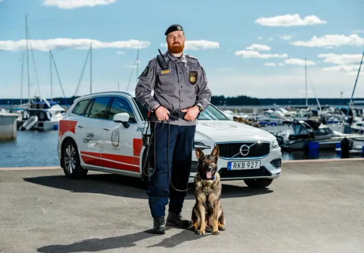 En skyddsvakt med hund står vid en bil i en hamn. Deras arbete kräver noggrann skyddsvakt utbildning.