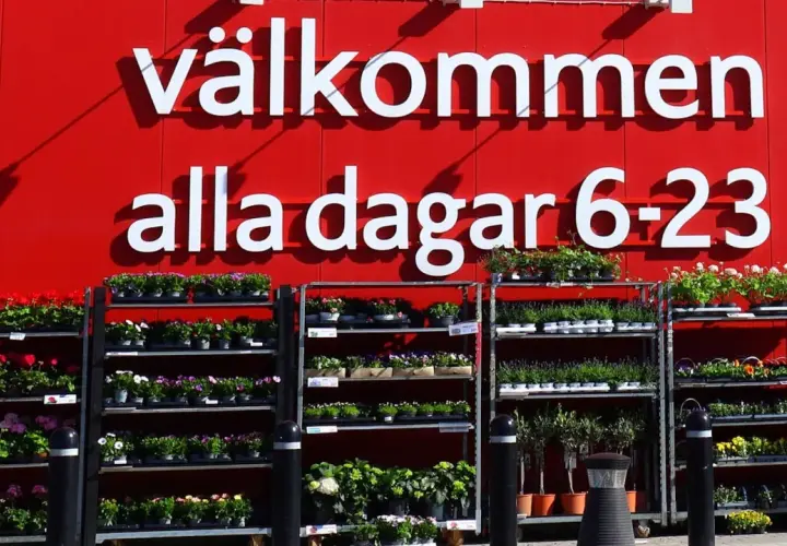Välkommen till butiken! Här finns massor av blommor och växter. Perfekt för dig som vill jobba i butik och hjälpa kunder att hitta det finaste.