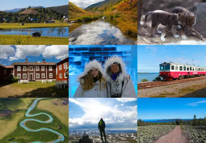 Upplev Norrbottens aktiviteter: vackra landskap, vilda djur, tåg, ishotell och vandring.