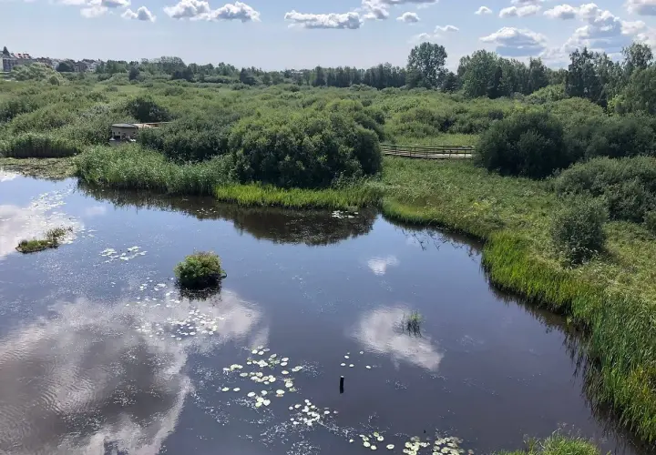 Vacker natur med sjö och promenadstig, perfekt för aktiviteter i Kristianstad.