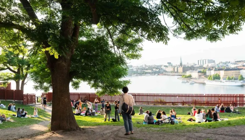 Människor njuter av en picknick i Stockholm, med stadsbilden och vattnet i bakgrunden.