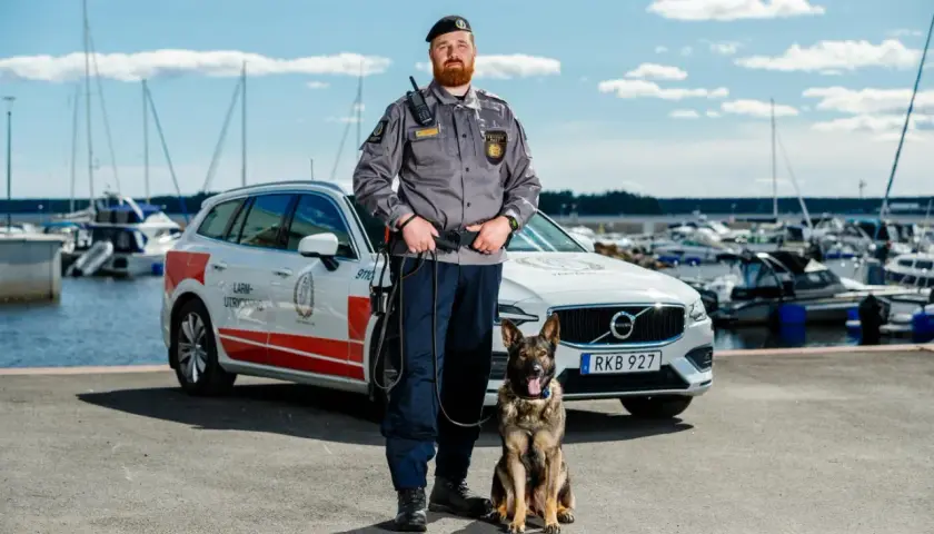 En skyddsvakt med hund står vid en bil i en hamn. Deras arbete kräver noggrann skyddsvakt utbildning.