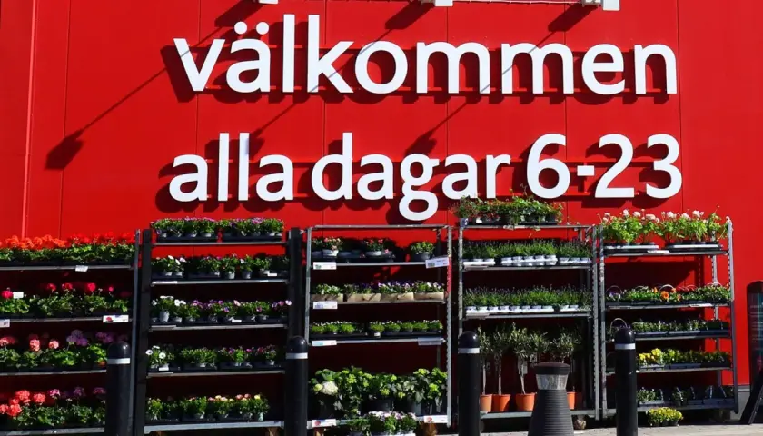 Välkommen till butiken! Här finns massor av blommor och växter. Perfekt för dig som vill jobba i butik och hjälpa kunder att hitta det finaste.
