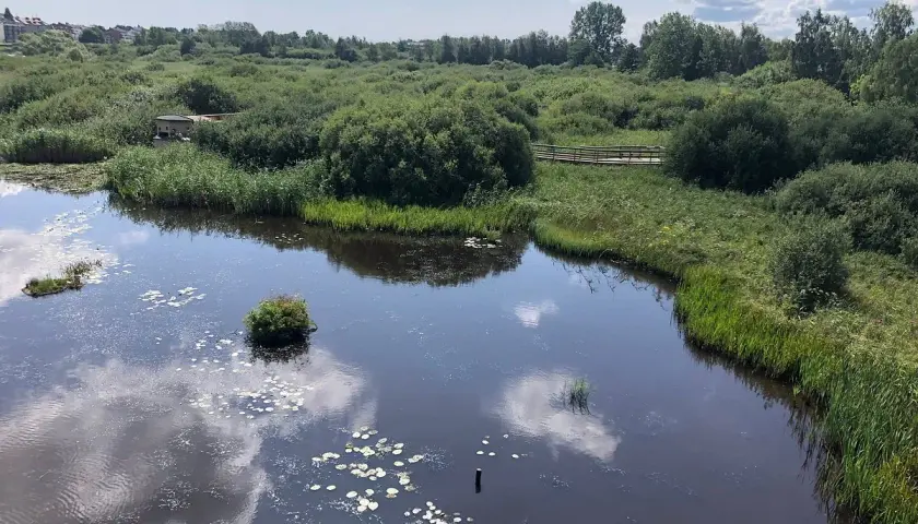 Vacker natur med sjö och promenadstig, perfekt för aktiviteter i Kristianstad.
