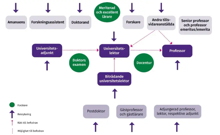Hur blir man professor i Sverige? Din guide till professuren