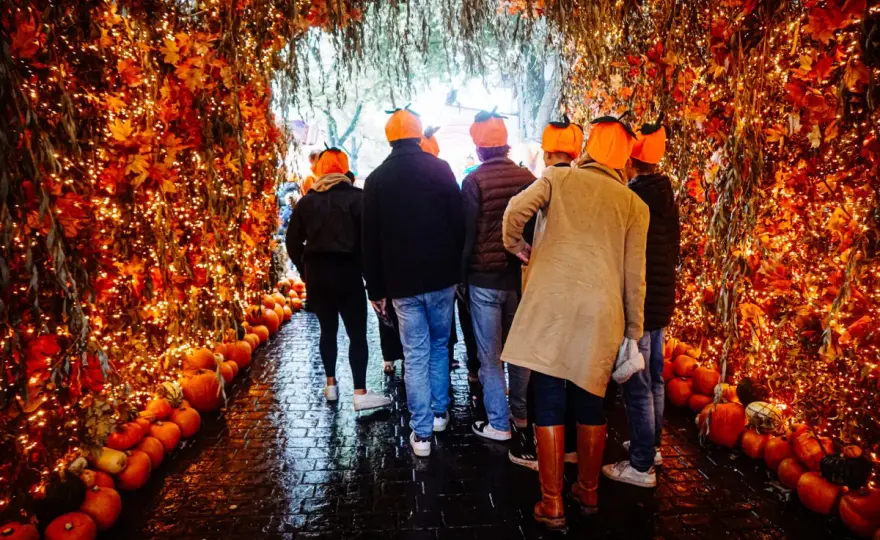 Halloween i Höstlov i Stockholm - Din guide till rätt val