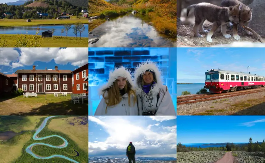 Norrbotten - Din guide till bästa upplevelser sommar & vinter