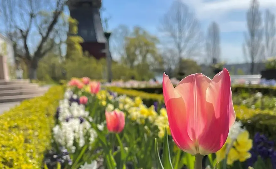 Prins Eugens Waldemarsudde - Din guide till ett unikt besök