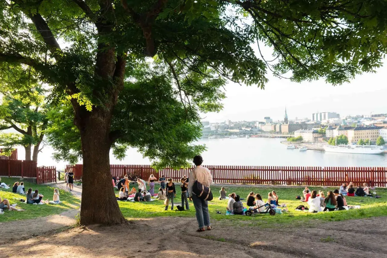 Människor njuter av en picknick i Stockholm, med stadsbilden och vattnet i bakgrunden.