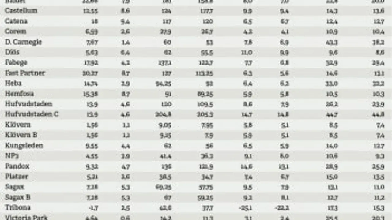 Tabell med bolagsnamn och siffror, där "p/e tal minus" kan vara en kolumn.