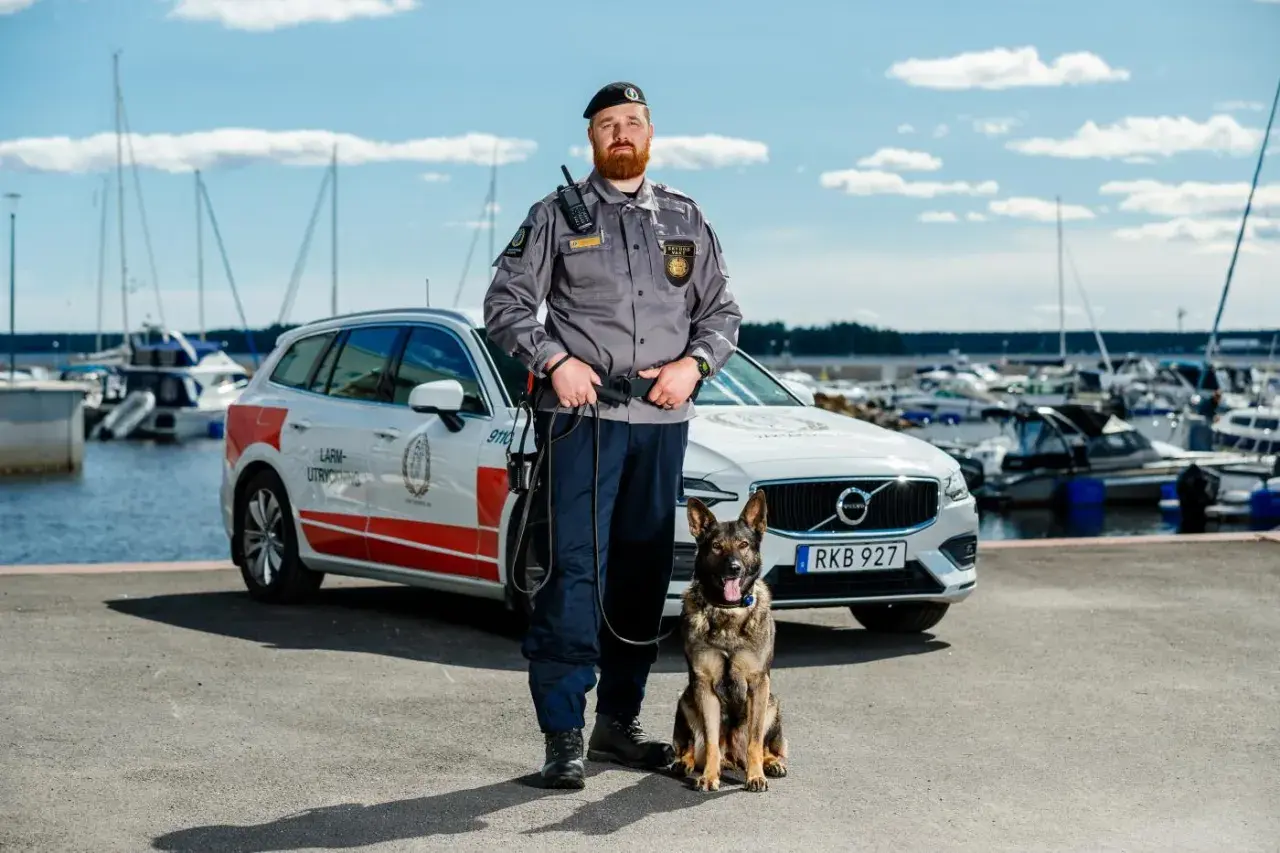 En skyddsvakt med hund står vid en bil i en hamn. Deras arbete kräver noggrann skyddsvakt utbildning.