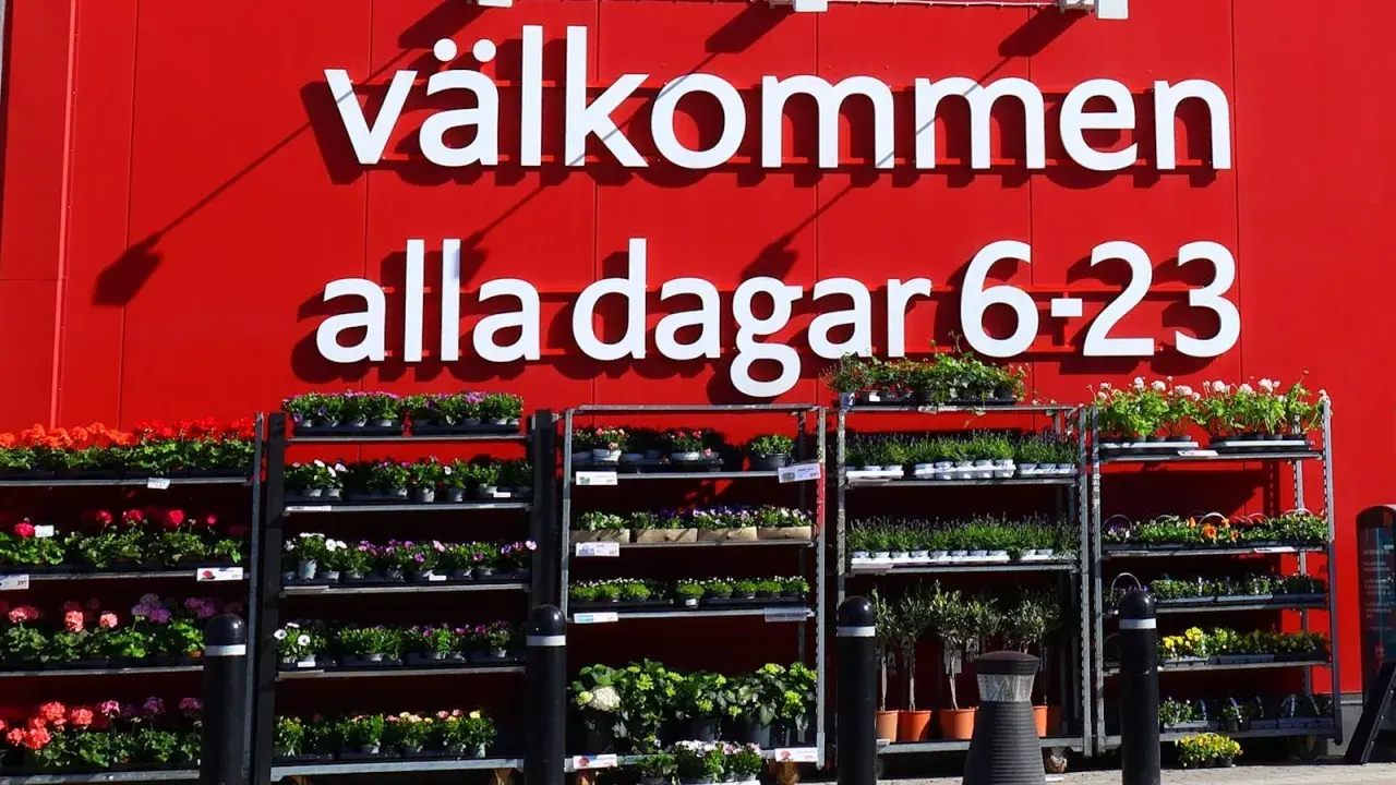Välkommen till butiken! Här finns massor av blommor och växter. Perfekt för dig som vill jobba i butik och hjälpa kunder att hitta det finaste.