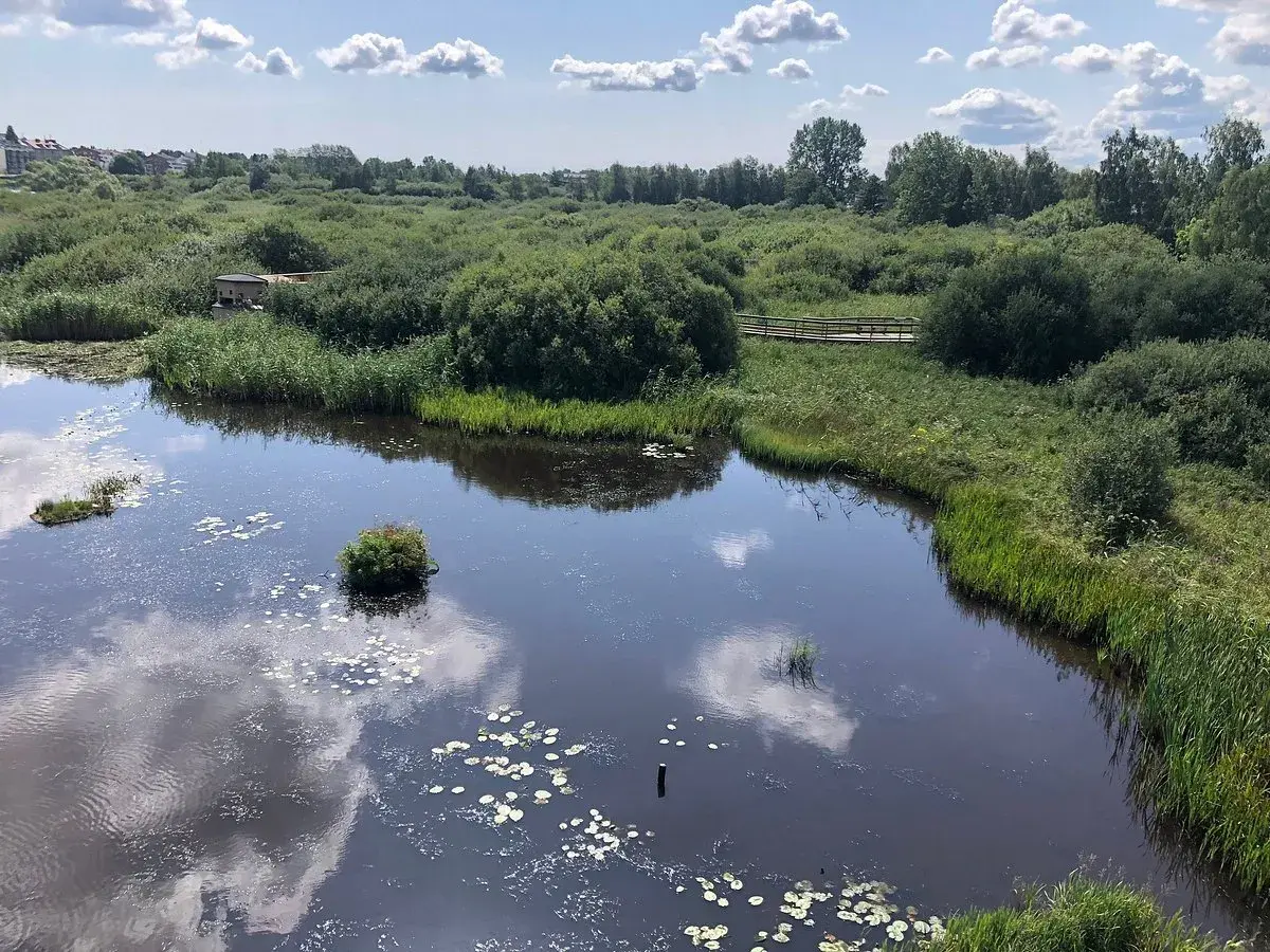 Vacker natur med sjö och promenadstig, perfekt för aktiviteter i Kristianstad.