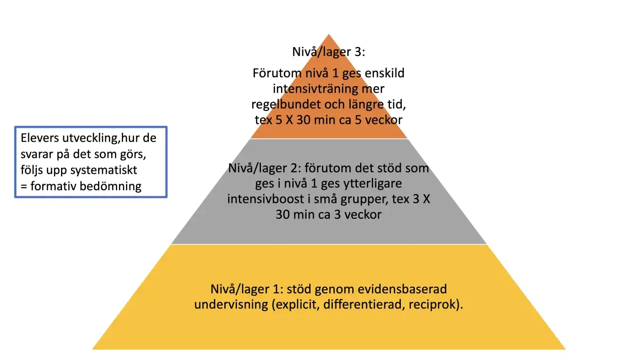 Pyramidmodell för elevers utveckling, som visar tre nivåer av stöd. Ett bra debattartikel exempel svenska.