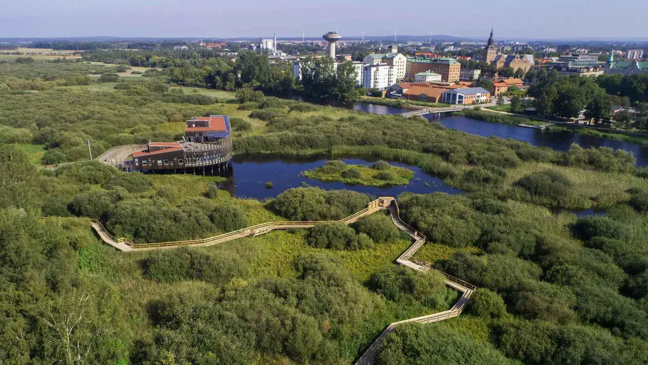 Vacker natur och spännande aktiviteter i Kristianstad. En träpromenad slingrar sig genom ett grönskande landskap med en modern byggnad vid vattnet.
