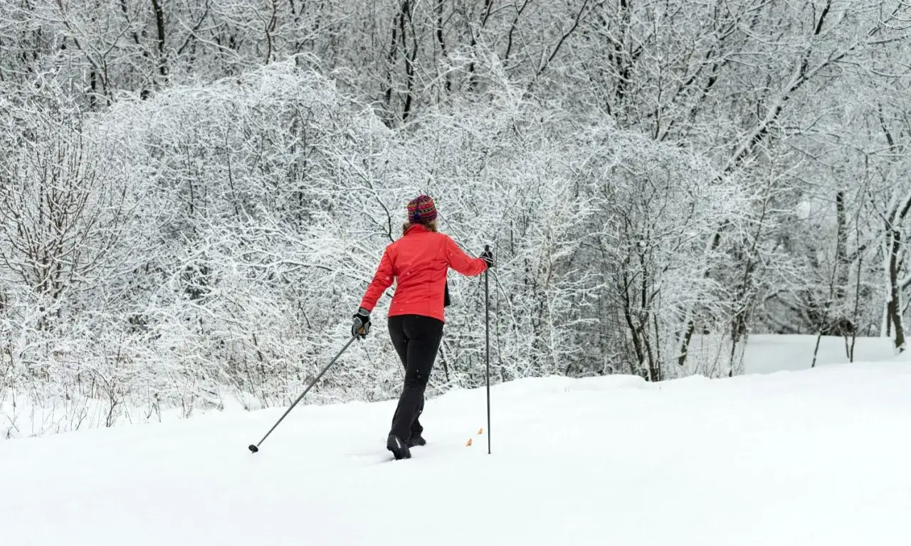 En person åker längdskidor i en snötäckt skog, en klassisk vy av Stockholm på vintern.