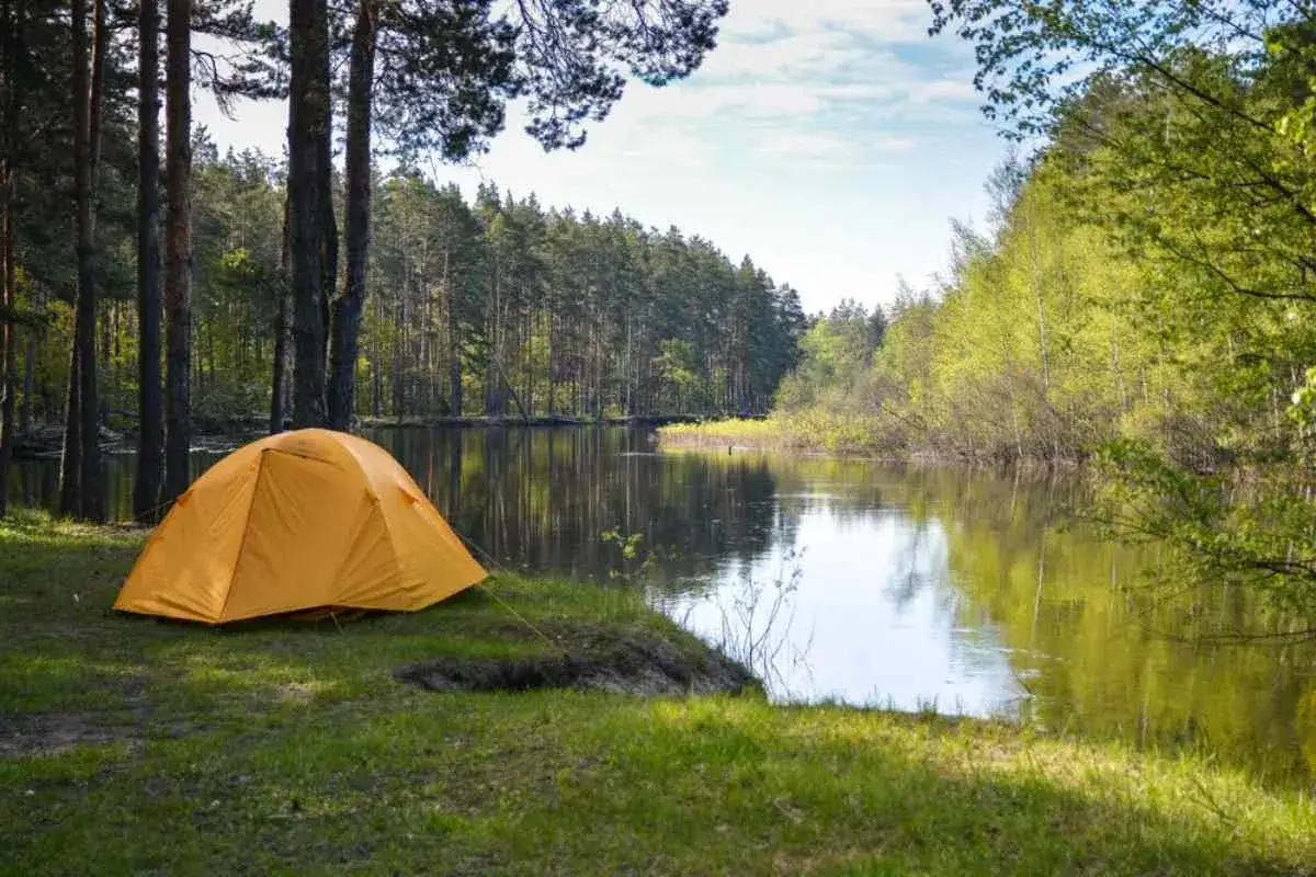 En orange tält står vid en lugn sjö i en svensk skog. Perfekt för free camping Sweden.