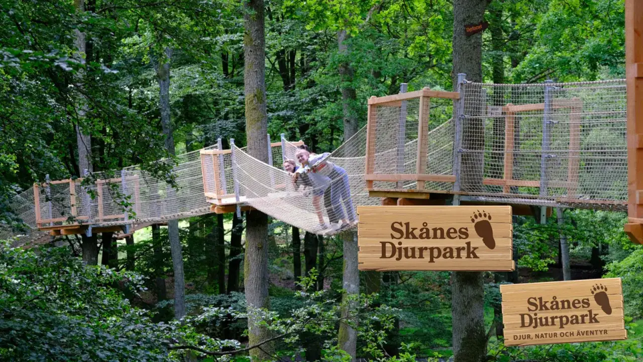 Barnaktivitet Sk&aring;ne: Tre glada barn balanserar p&aring; en repbro i en &auml;ventyrsbana bland tr&auml;den p&aring; Sk&aring;nes Djurpark.