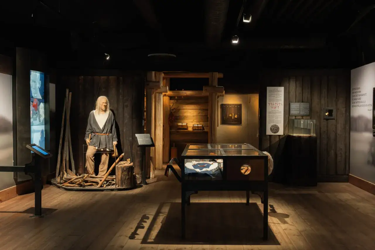Vikingamuseum med en vaxdocka som en viking, utställningsföremål i glas och träväggar.