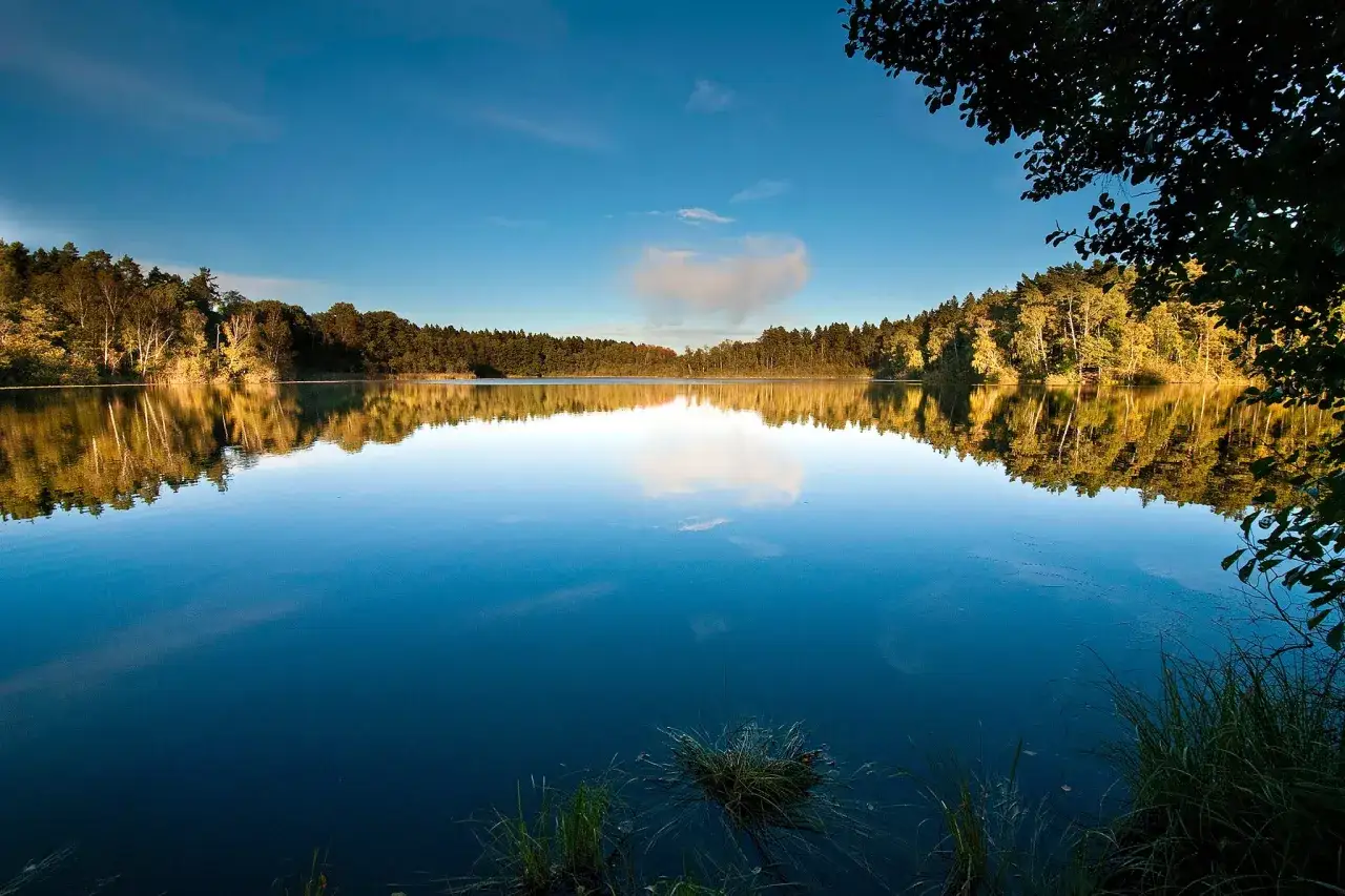 Spegelblank sj&ouml; med skog och himmel som reflekteras. Perfekt f&ouml;r utomhusaktiviteter Stockholm.