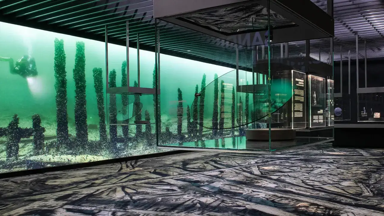 En dykare utforskar en undervattensvärld med gamla träpålar, en del av ett museum of wrecks. Glasmontrar visar artefakter från djupet.